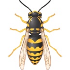 Wasp
