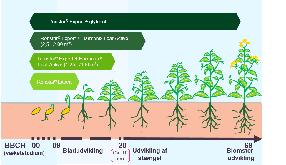Effekt af Ronstar Expert og Harmonix Leaf Active