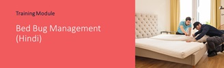Bed Bug Management (Hindi)