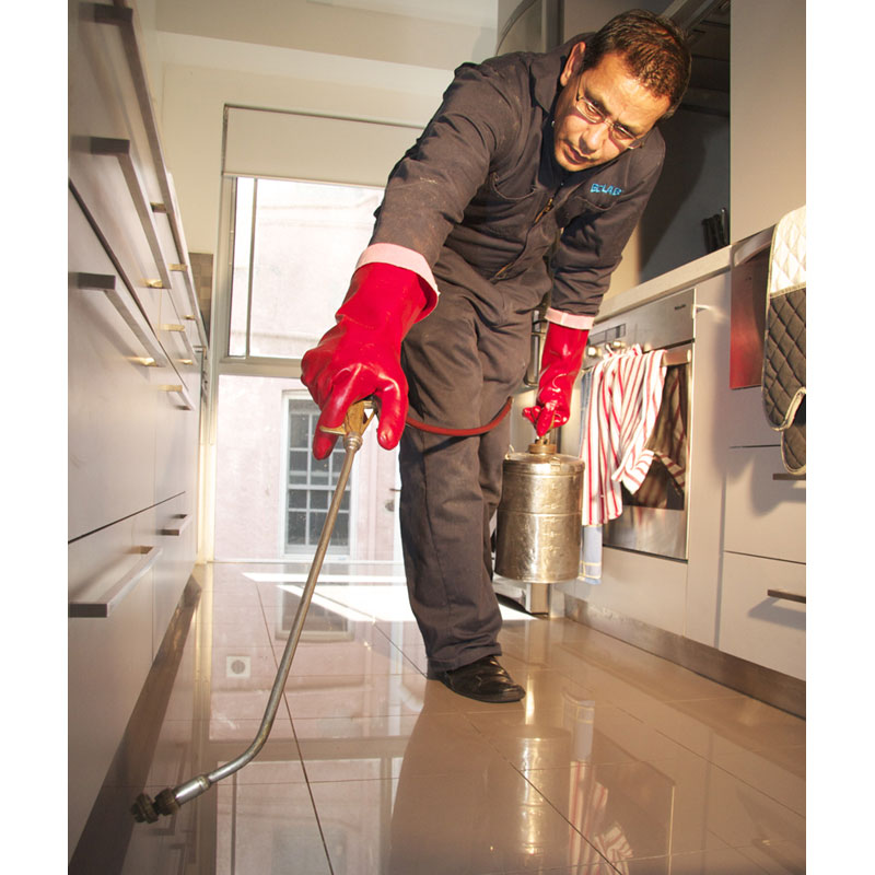 skadedyrsbekæmpning indendørs