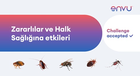 Zararlılar ve Halk Sağlığına etkileri