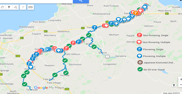 The Giant Hogweed Eradication Programme - 2019 sightings 