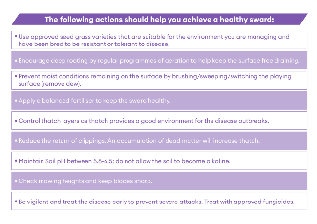 Actions to achieve a healthy sward