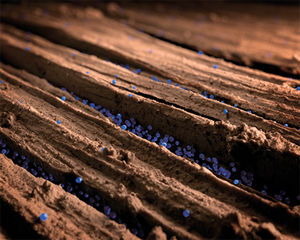 Suspension concentrates SC