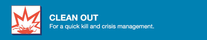 Maxforce Roach Clean Out Rotation