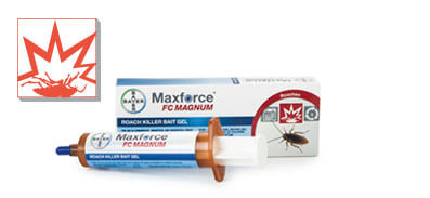 Maxforce FC Magnum Packaging