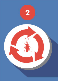 Maxforce Rotation Icon