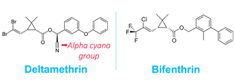 deltamethrin | Bifenthrin