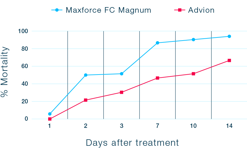 German cockroach Maxforce study