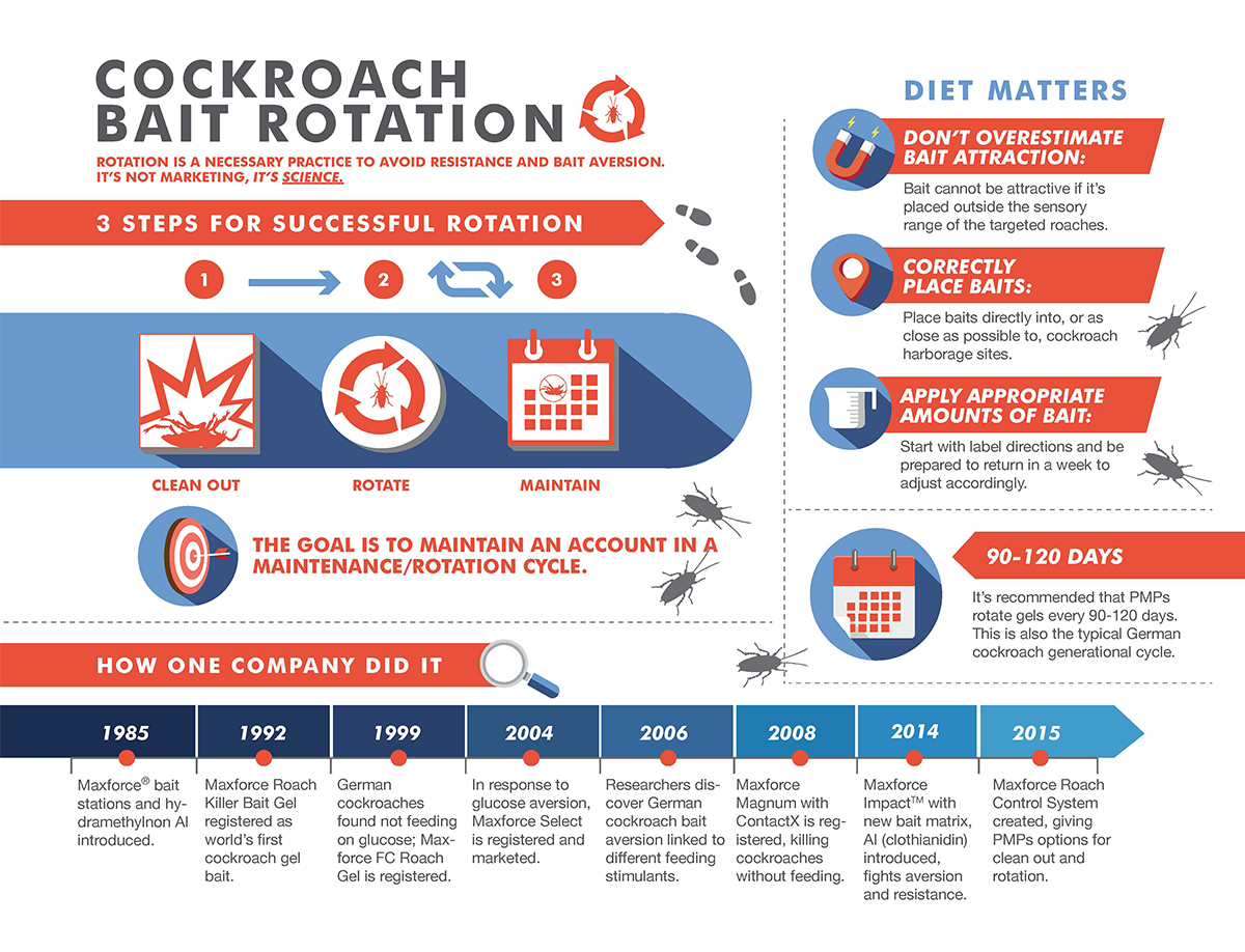 Cockroach Bait Rotation Infographic