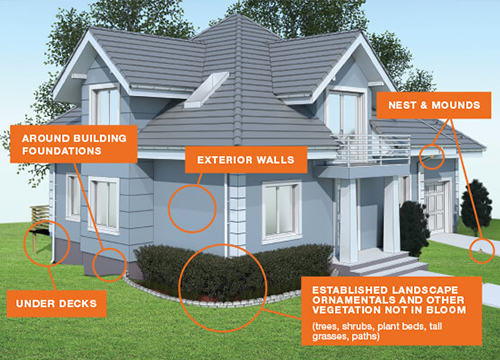 Where to Use Temprid Outside a House