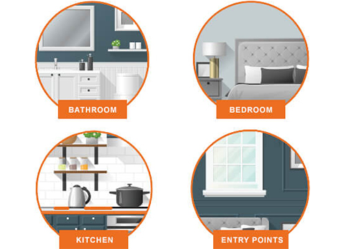 Where to Use Temprid Inside the Home