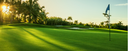 golf fairway chipco signature stressgard