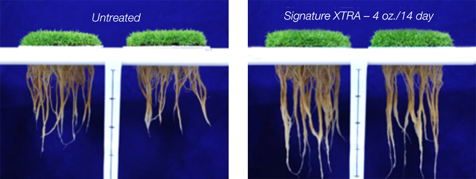 Stressgard Root comparison