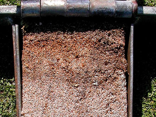 Whitish to orange mycellium