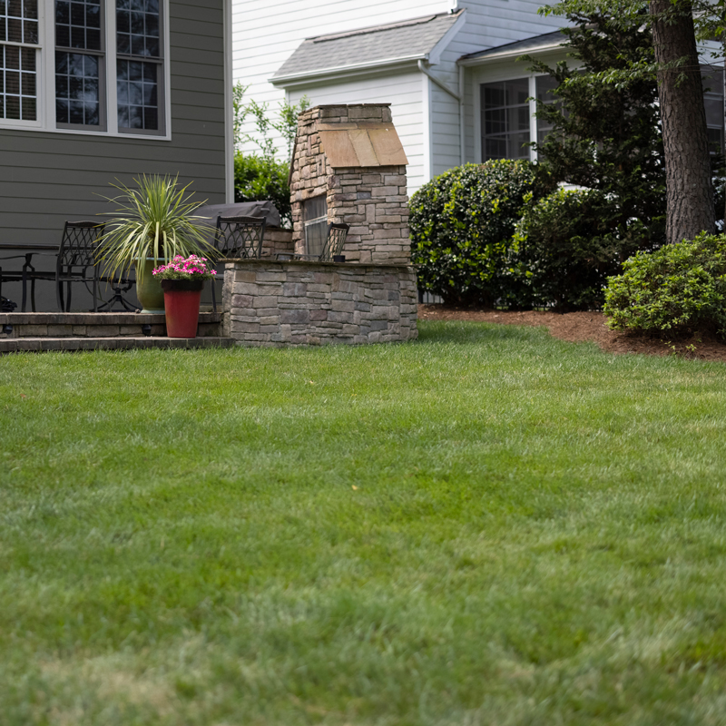 back lawn grass landscaping