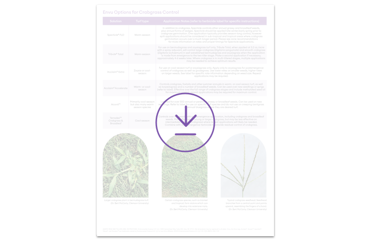 solution sheet download preview