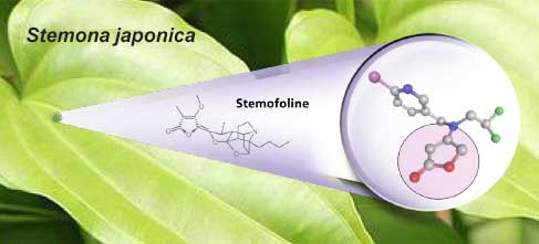 Closeup Altus Formulation