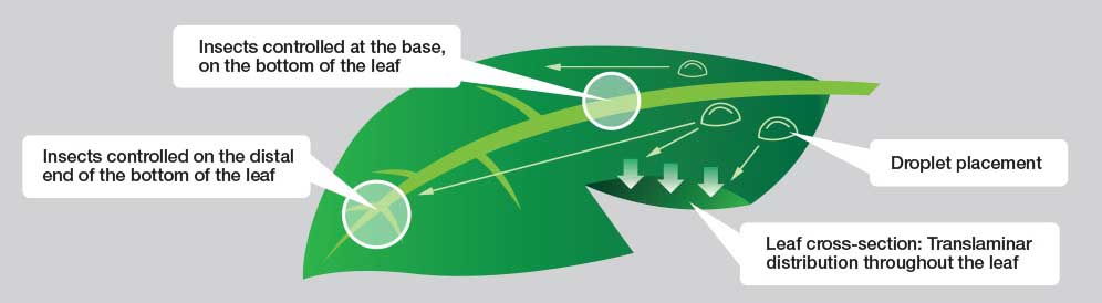 The Science Behind Altus