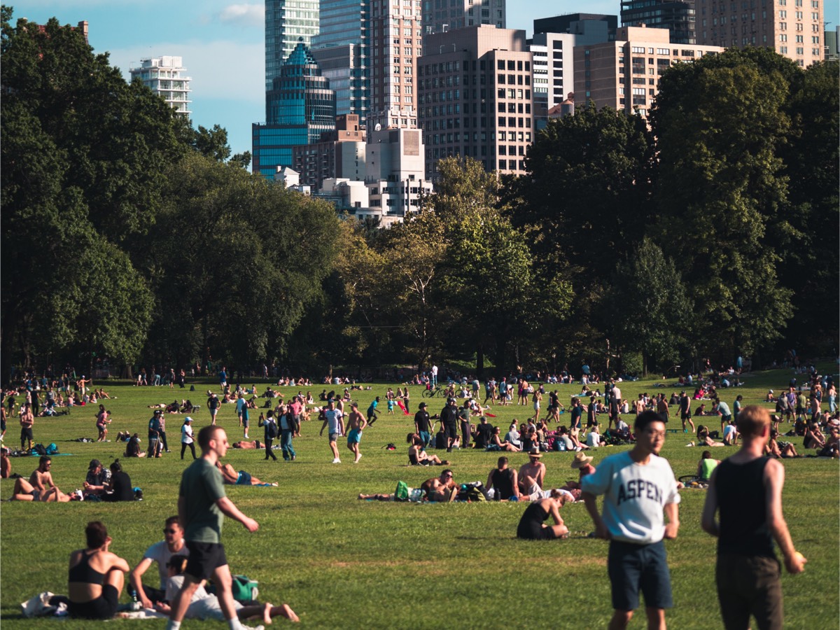 people in a park city in the distance