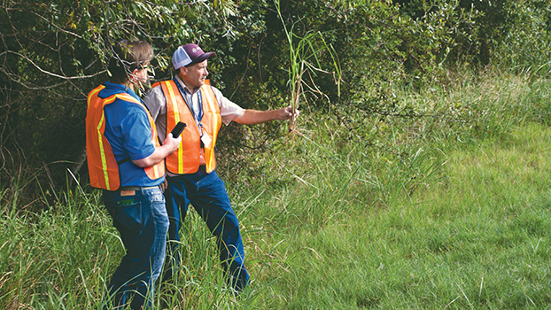 Service you can rely on