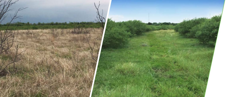 controlling tough brush