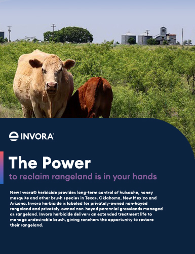 Invora Herbicide