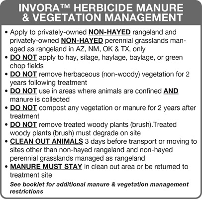 stewardship pictorial graphic