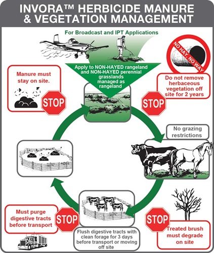 stewardship pictorial graphic