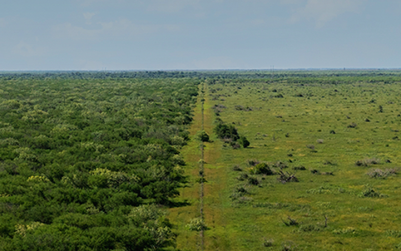 range view from above