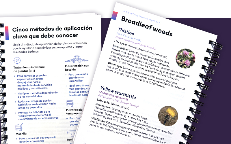 applicators guide thumbnail