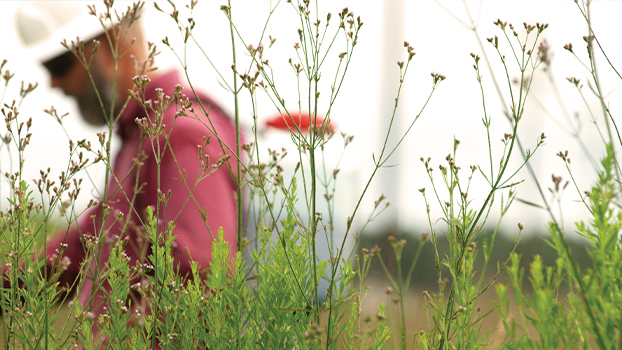 man in red shirt behind flowers