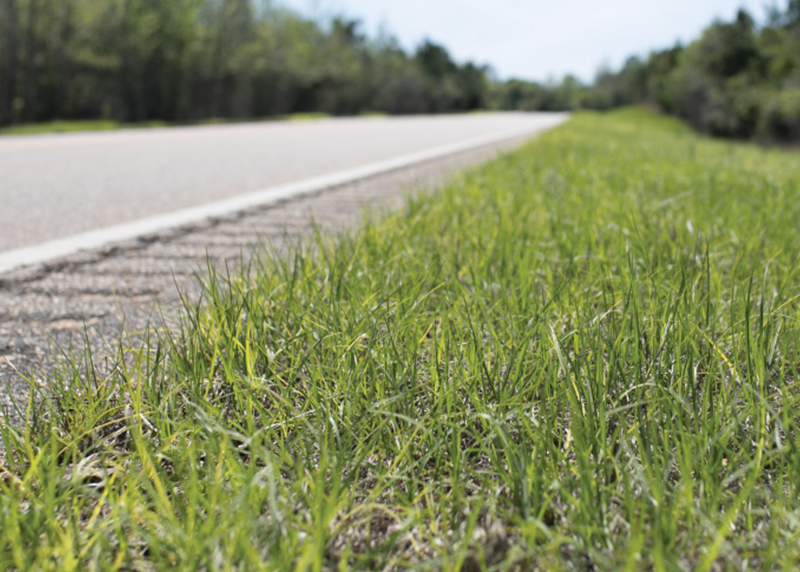 late winter application