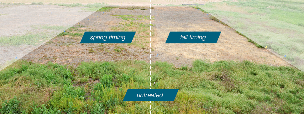 fall application comparison