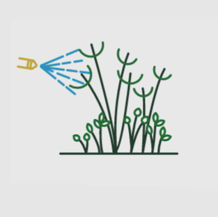 Leaf sprays are applied to the foliage of target plants