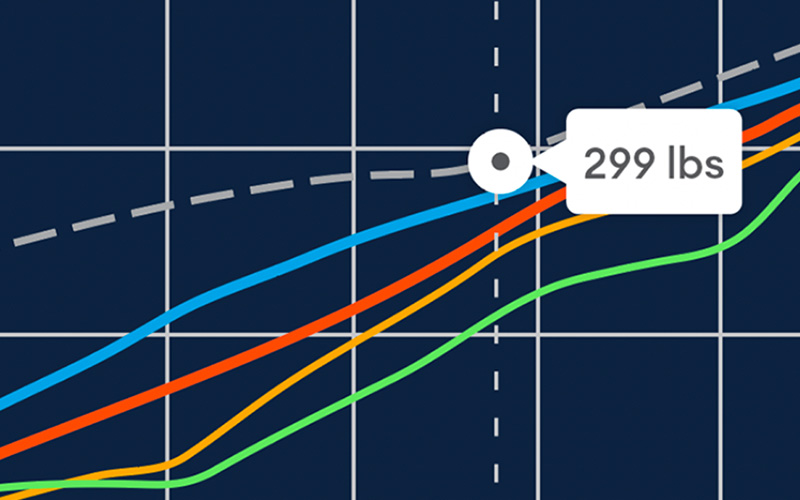 insights map preview snippet