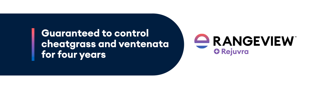 rangeview rejuvra lock up