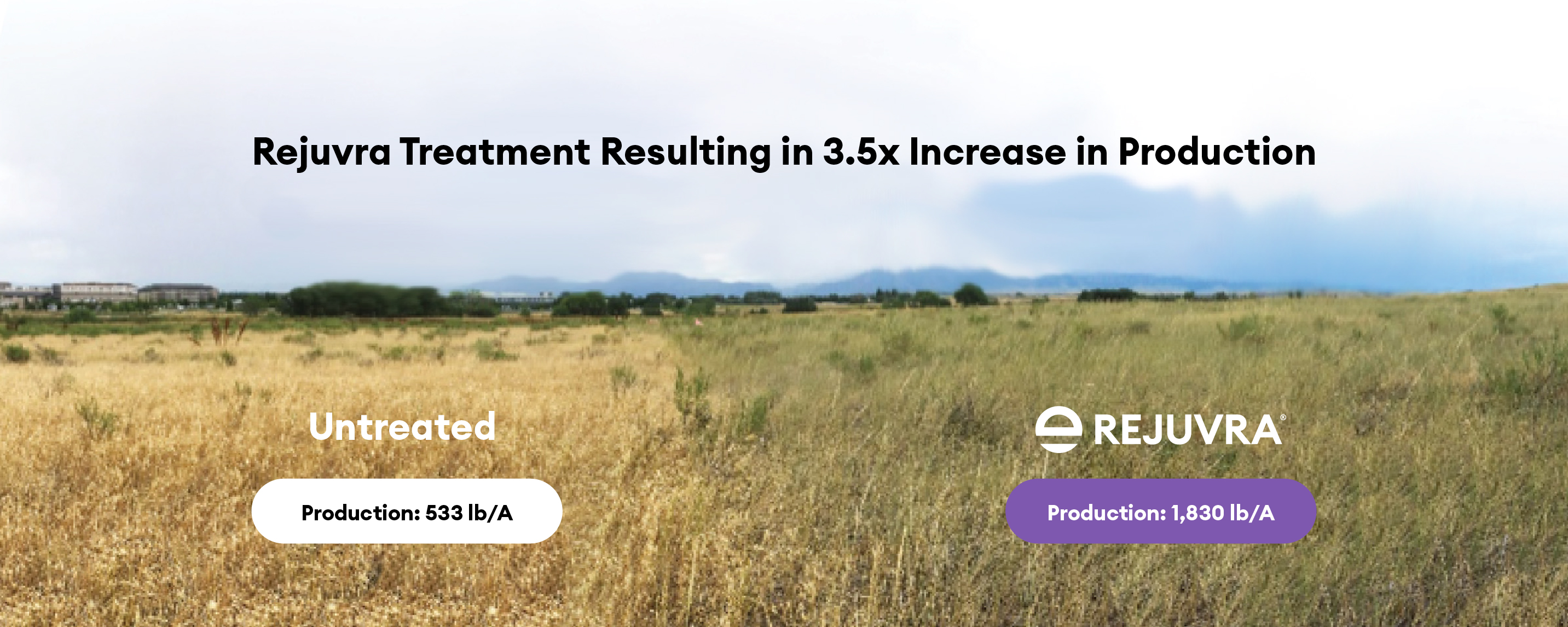 Rejuvra Treatment