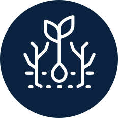 icon Extended weed control 