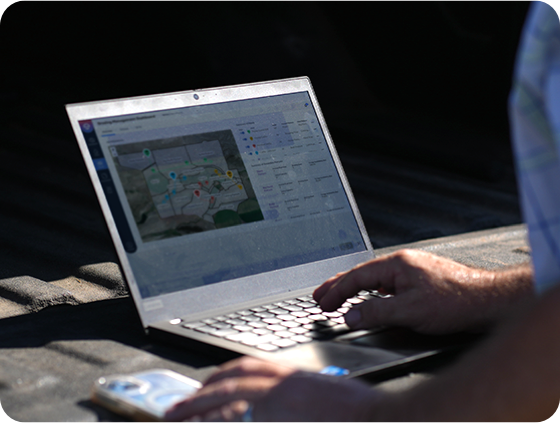 typing on laptop computer