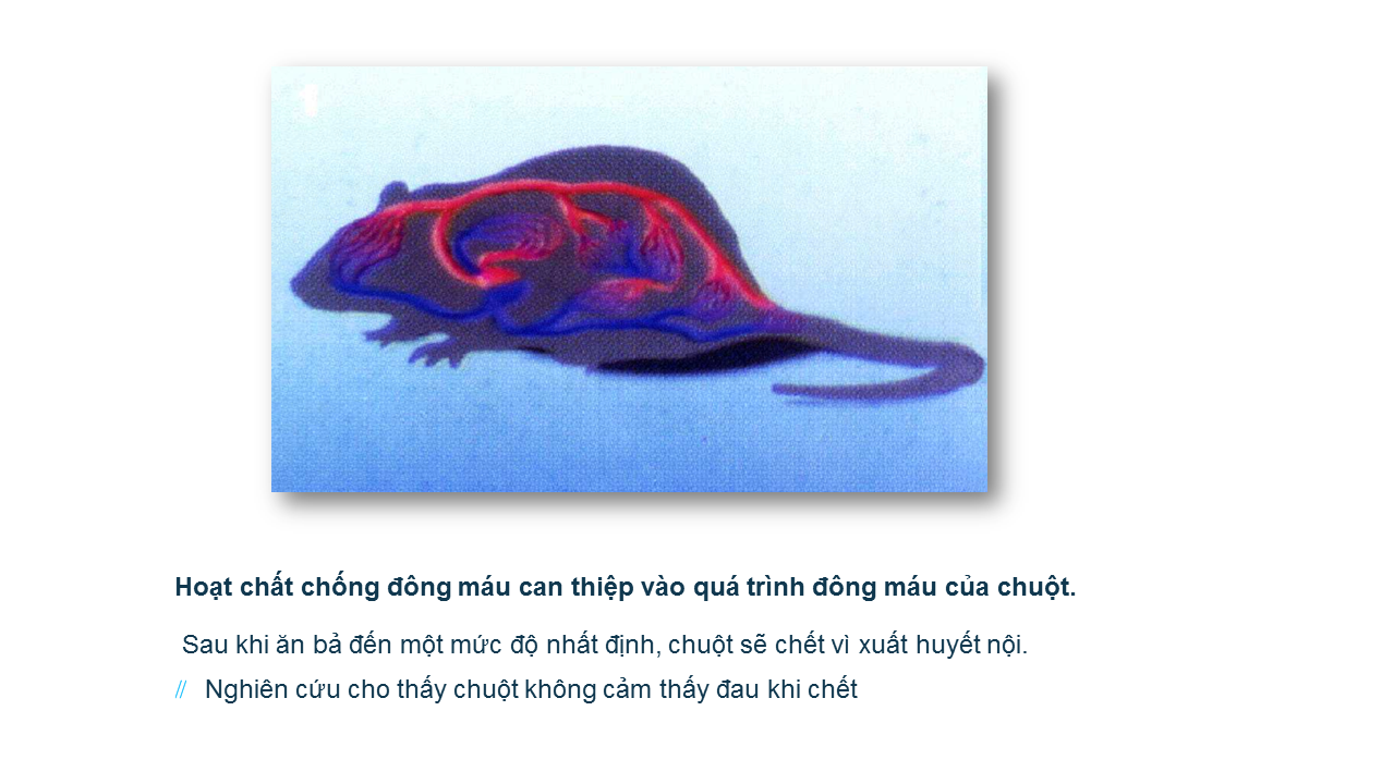 Cơ chế hoạt động của thuốc diệt chuột thông minh Racumin 0.75 TP