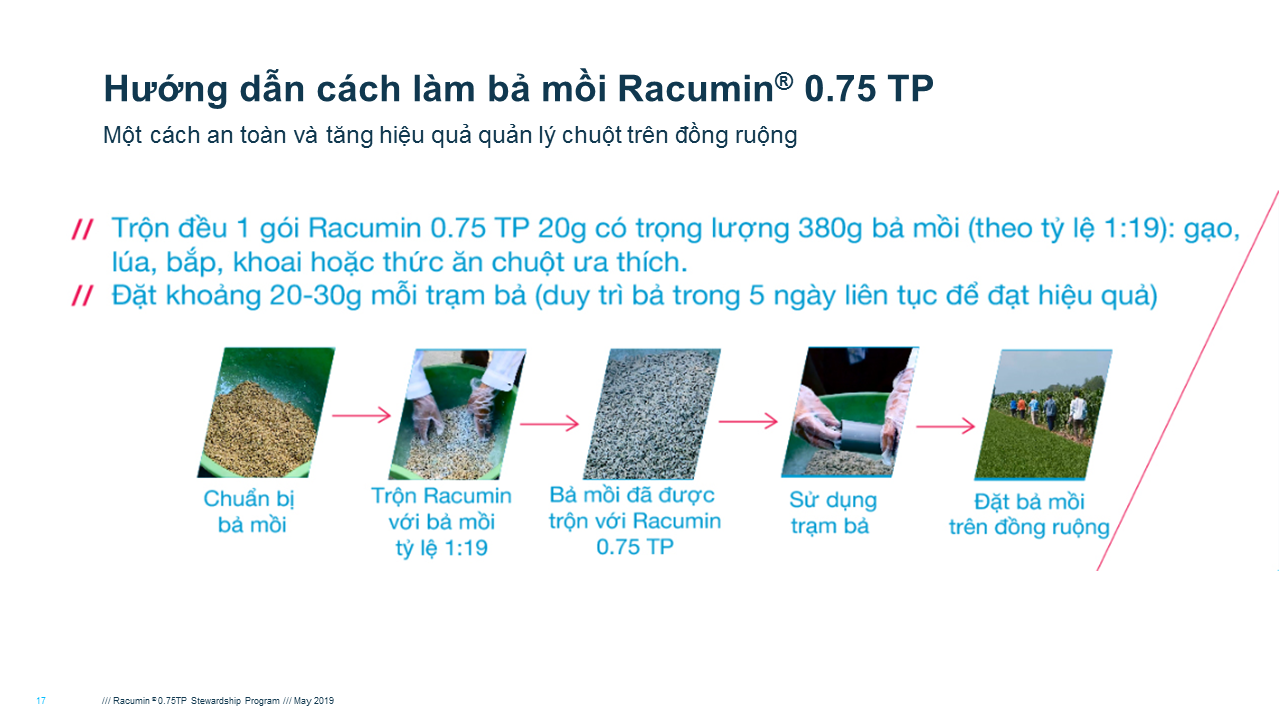 Hướng dẫn trộn bả mồi tiêu diệt chuột hiệu quả trên đồng ruộng