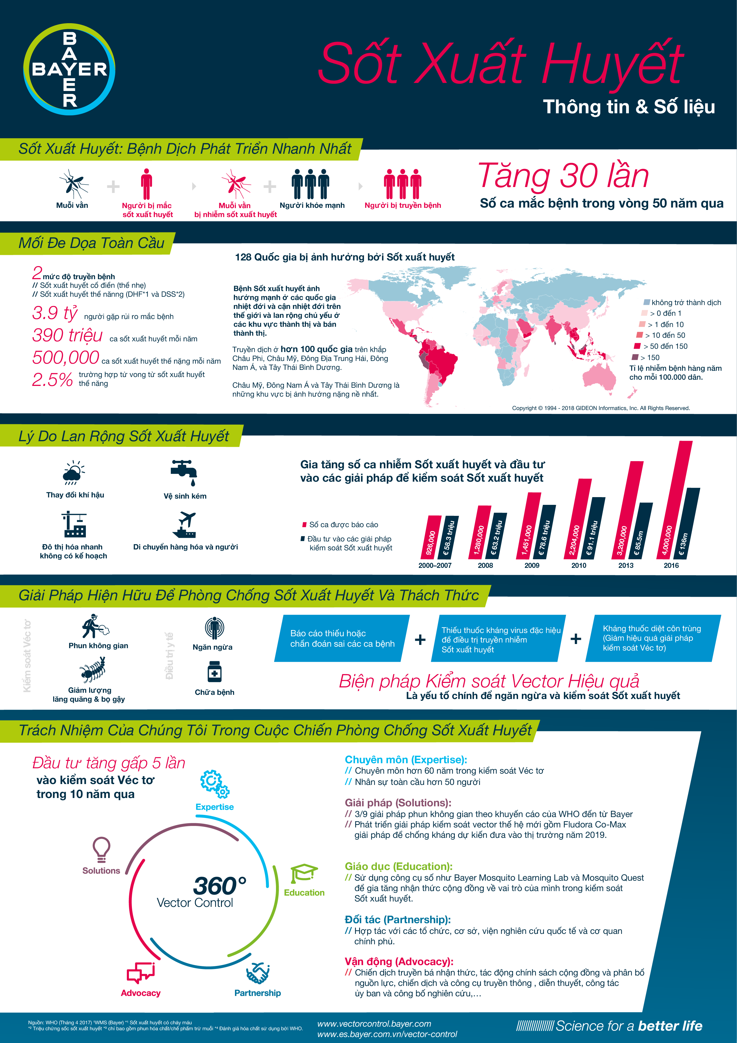 Thông tin về bệnh Sốt Xuất huyết