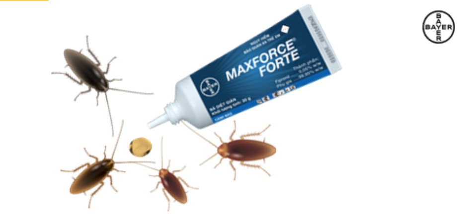 ba-diet-gian-hieu-qua