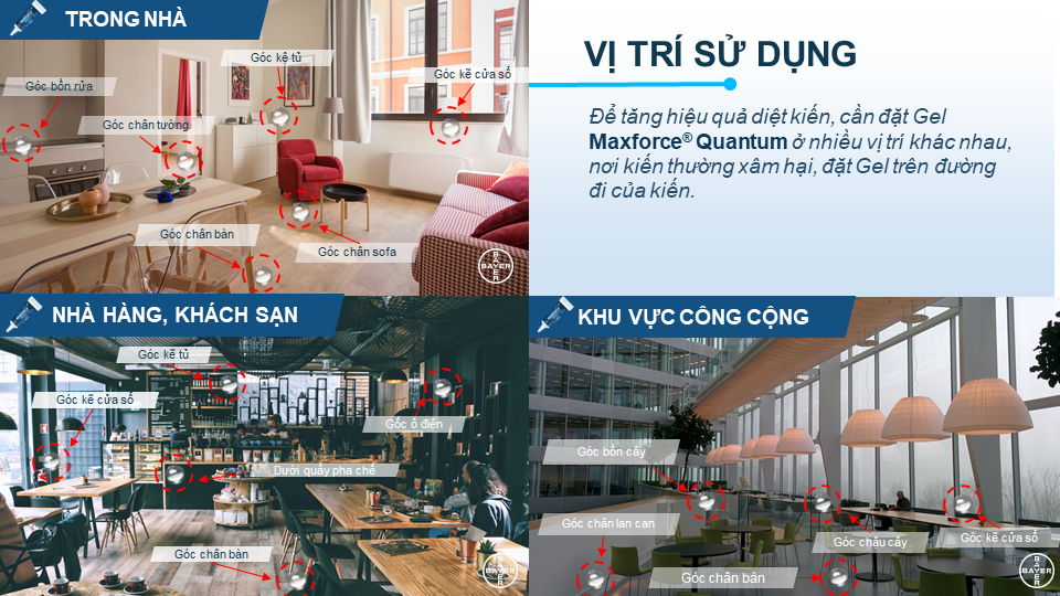 co-the-mua-gel-diet-kien-o-dau