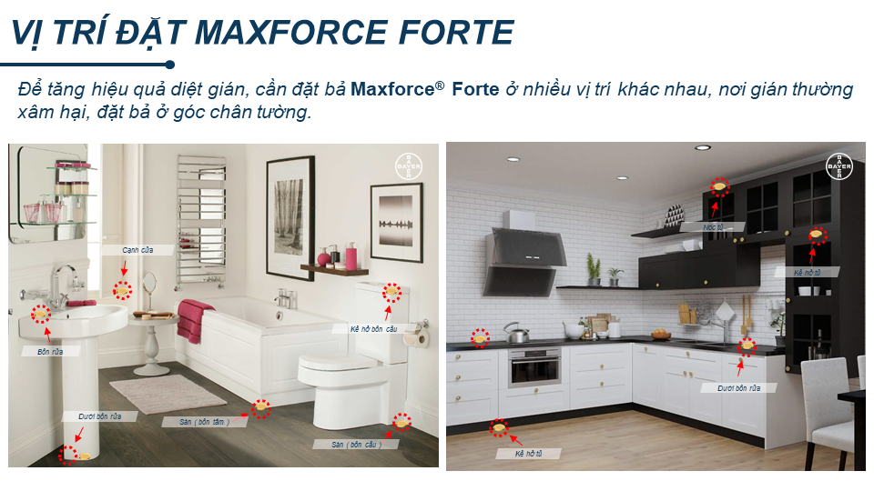 cach-diet-gian-duc-hieu-qua