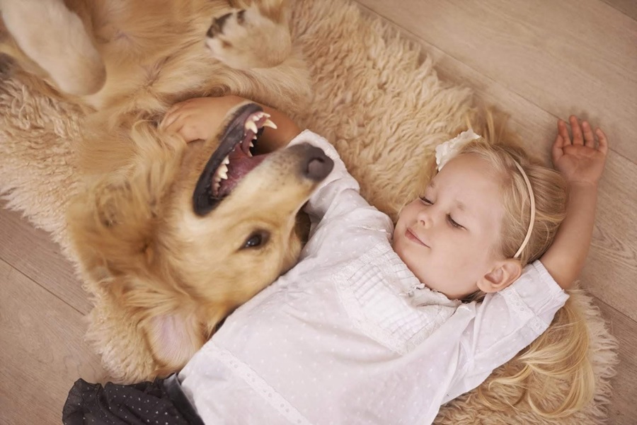 su-xuat-hien-cua-gian-co-the-gay-hai-cho-suc-khoe-cua-tre-nho-va-thu-cung