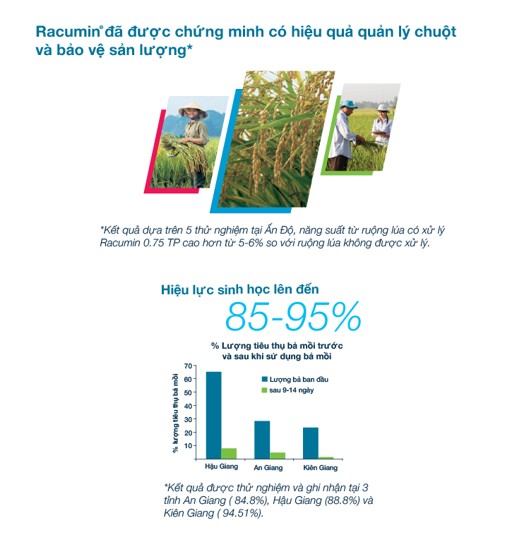 Racumin TP giúp bảo vệ năng suất lúa